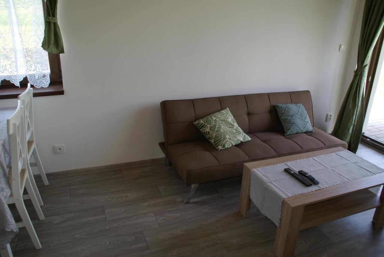 Apartmany U Olsinske Kaplicky Horni Plana Luaran gambar