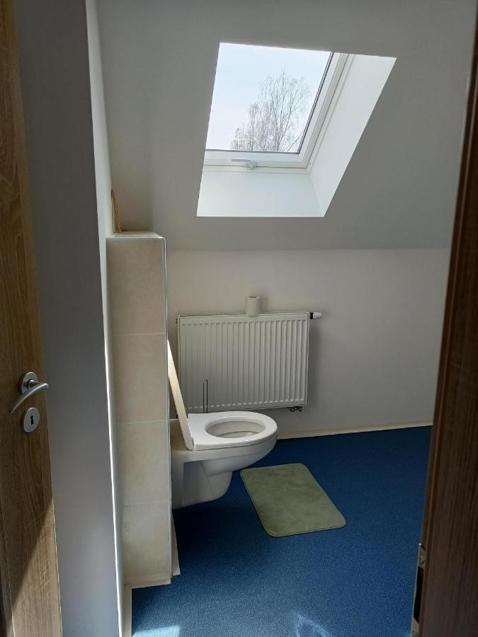 Apartmany U Olsinske Kaplicky Horni Plana Luaran gambar